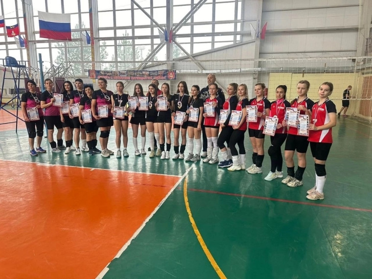 Соревнования по волейболу.